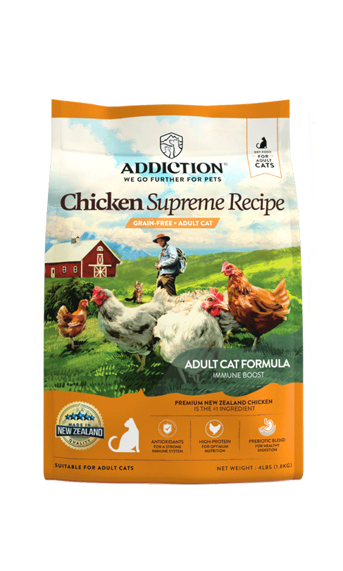 Addiction - Chicken | Cat