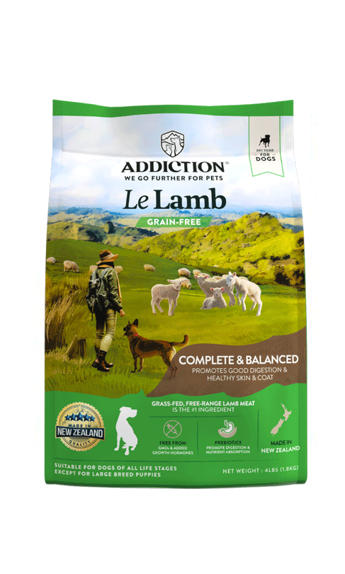 Addiction - Le Lamb